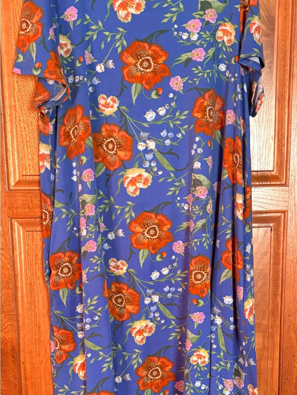 Lularoe Jessie dress  3X Blue/multi floral